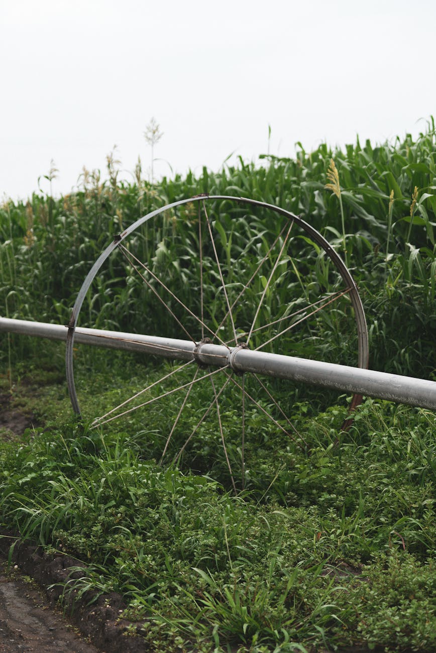 Agricultural Pipes by Shobha